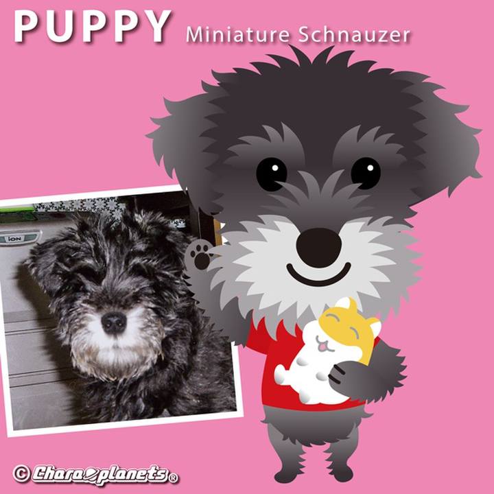 26b45789 4637 47a7 aa62 1f195629ba07 1563768107748