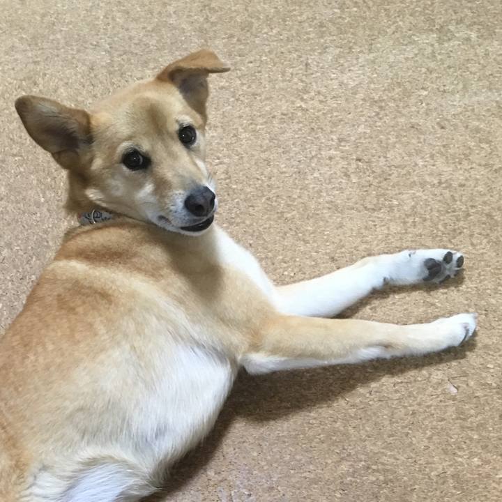 26b46399 dcd0 4322 a6ea 1c44c74bac35 1556614713603