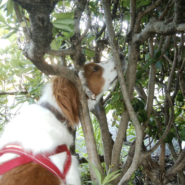 26b46455 ffcf 429a aabd 7507afe1c9fd 1532476347413