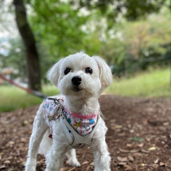 26b469a3 5061 49d6 889e 2a1425de9aed 1696506540299