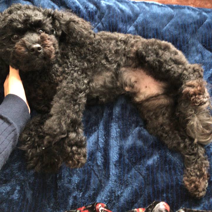 26b48b30 7579 4633 986e cf0c0dc547d6 1541896701793