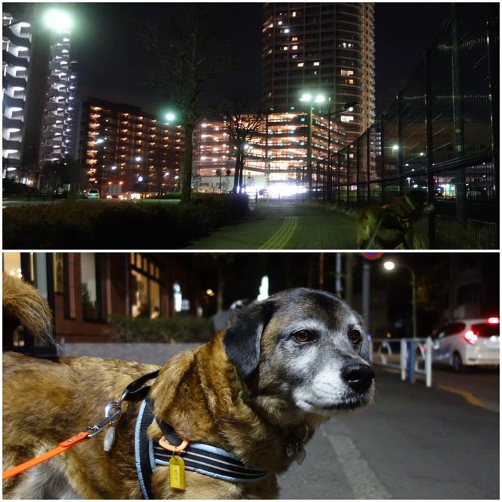 26b4bea9 dbfc 44aa a76b 0ae5d5fe030e 1548429850986