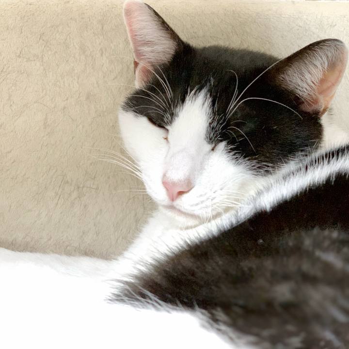 26b4dc30 4cab 4d0f 9442 f0178a7ebf1e 1544150972484