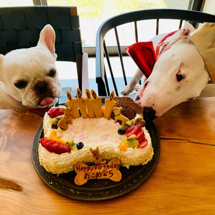 26b4e88a a197 4f2c ab6a 88dfea2aa168 1598074605249