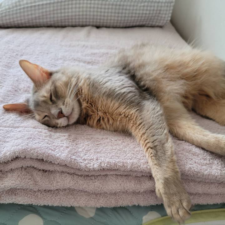 26b590d9 f651 425b a214 f16145313f11 1632491495050