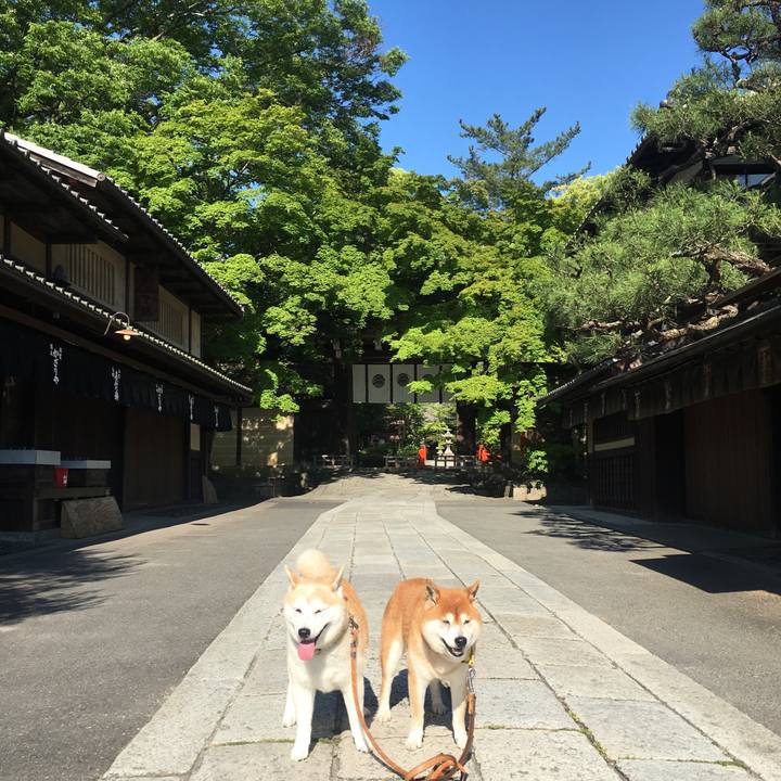 26b5ac75 200c 49d5 ac8e 308958144f43 1526952196874