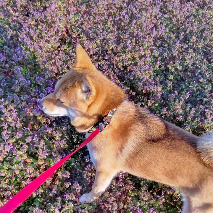 26b5f6db 56ee 4e11 a69c 2658bdf93cb2 1641890388462