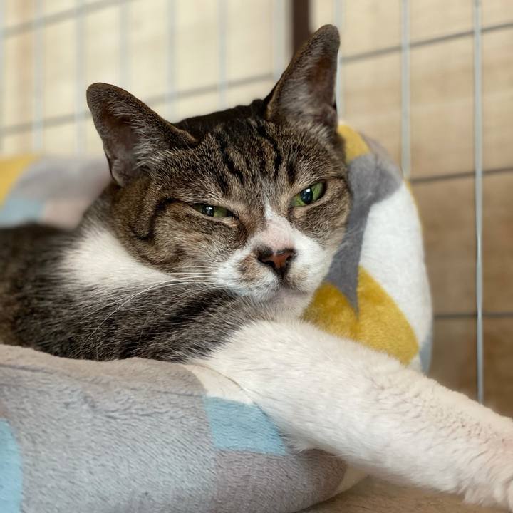 26b60cc6 41b7 47fb 93f4 4a8053306740 1626224272951