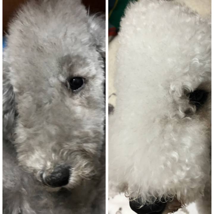 26b620b5 3c83 4421 860a 985f8ff0049c 1636257877354