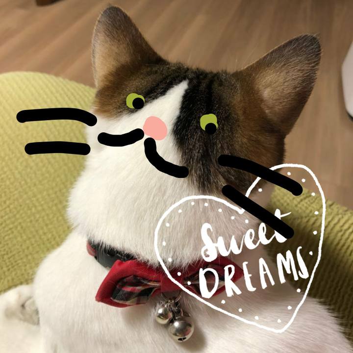 26b62723 e8d2 4f98 a224 67bec8869fea 1566295644869