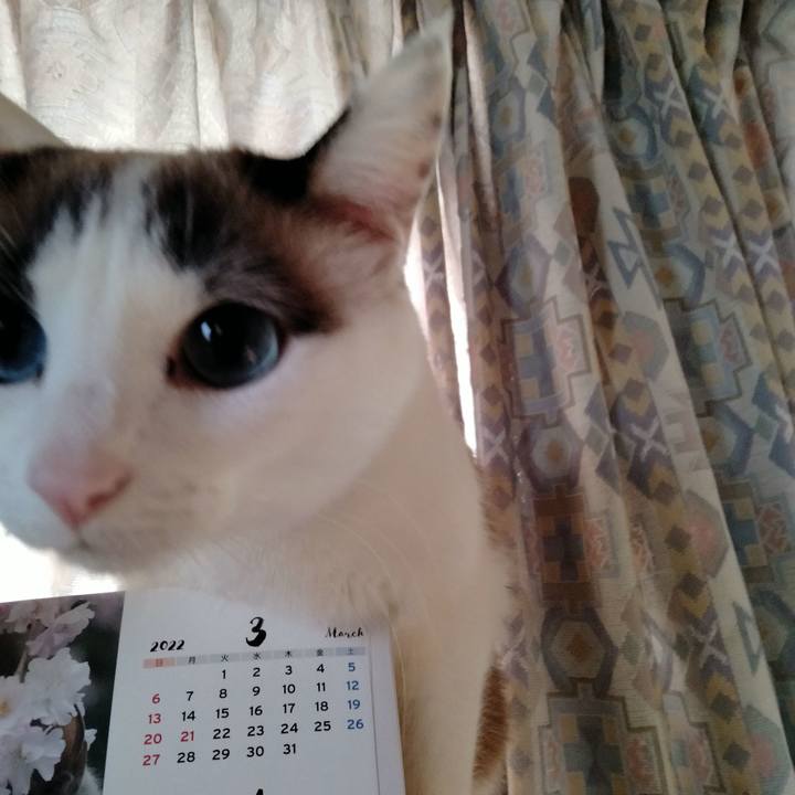 26b6903b 63cf 466b b00d a76c25571520 1646440301156