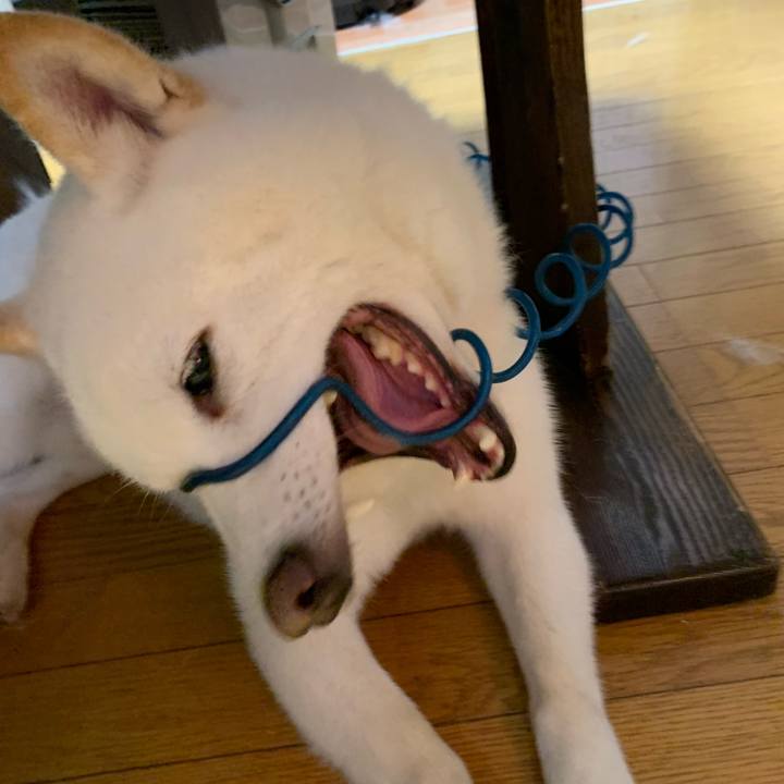 26b69369 07ab 4932 894c 50c41edc2068 1603404914022