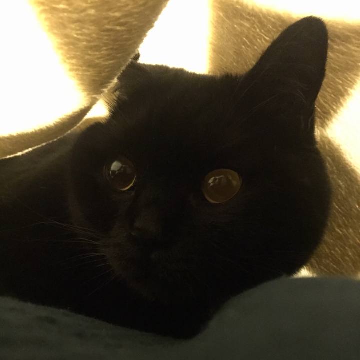 26b6b34b 2568 4818 a43a a924d1e5d651 1558011034392