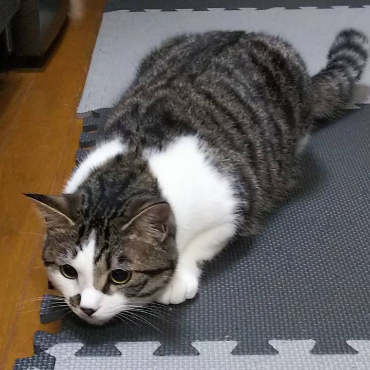 26b6d184 8916 4fd2 9552 381f29db3865 1620823190886