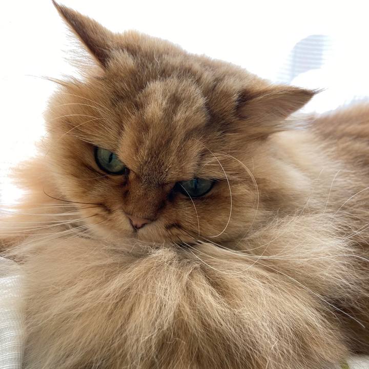 26b6e1da 85e4 47e6 960f ff5fb9bbff57 1616557021183