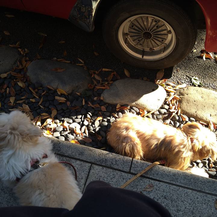 26b6f32a 8dd9 43ca 918c 2185d3f8bd61 1605347926178