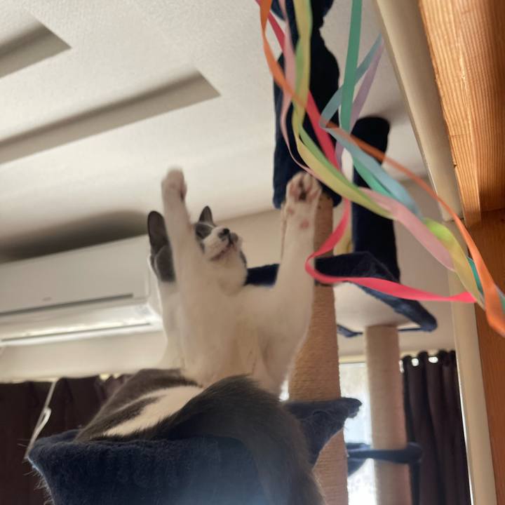 26b714dd add3 4673 975b 0437aef6b6d2 1674879473055