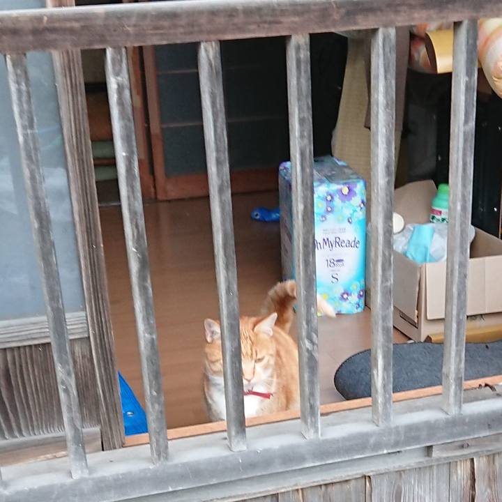 26b7402f 227d 4a4c aa75 96747c57a34e 1574493787498