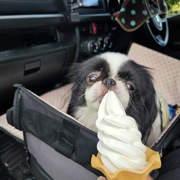 26b7a7c5 ac11 45c0 aef1 8f4a1c962baf 1721771494654