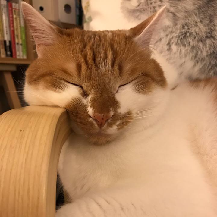 26b7b323 734e 4c76 a650 713ad1ce0b68 1556534189980