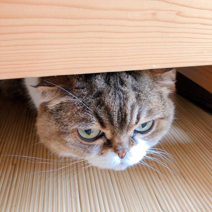 26b7b916 2081 4336 923d 5a00603f0695 1586910267434