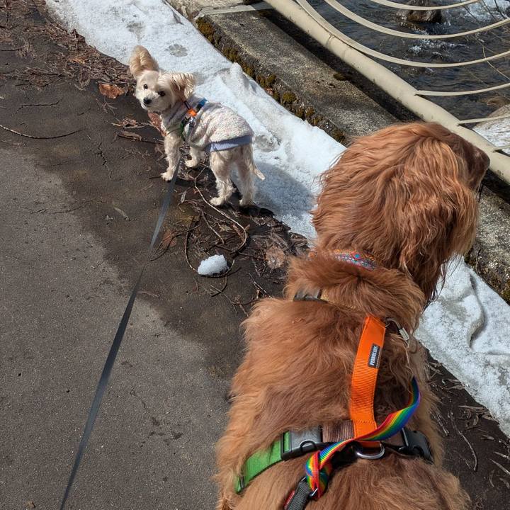 26b7c2e8 b8ac 4827 9758 9b067c459a92 1772092160081