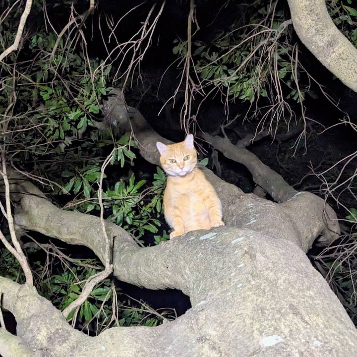 26b80665 8ab8 4900 8633 66eeda1bdc5f 1758455176324