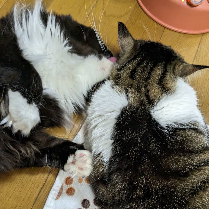 26b83b44 f592 44b9 9444 fca808b4ae6b 1681686757119