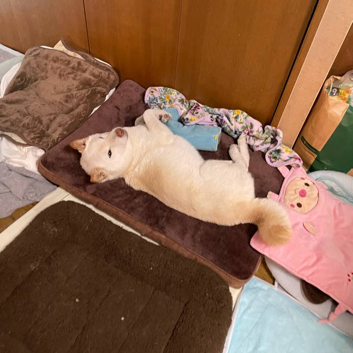 26b85f7a 2a0c 4d1a 8332 802d6215b0cd 1636351859989