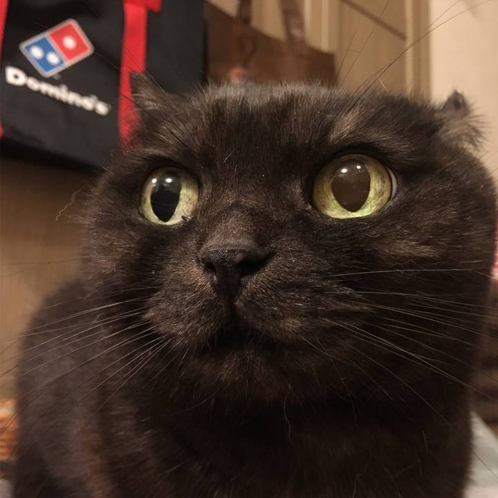 26b8724b 40cd 4707 a104 d102dfbcb4c2 1544634734263