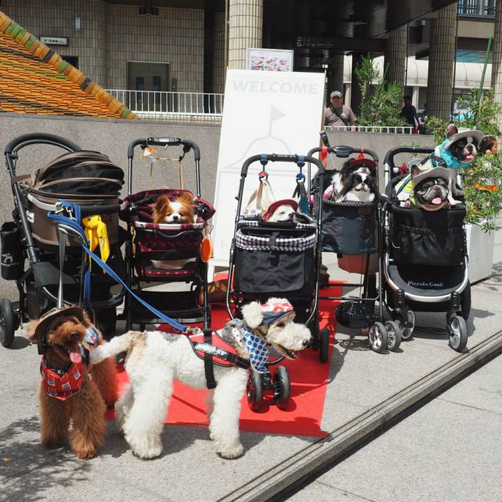 26b87ba1 88b1 48cd 8045 5cffcae06fe4 1526804371326