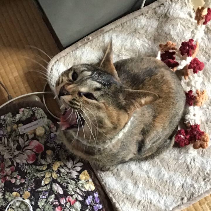 26b8815d 16d9 4aba 89cd d8480b961afd 1648885418274