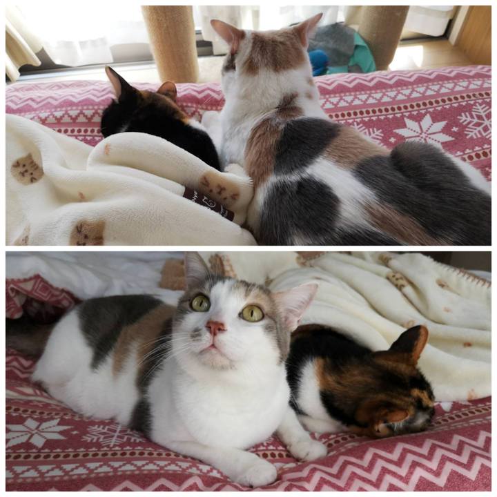 26b8dd37 366b 4ef7 93d8 1c11417cb6b9 1616746434826