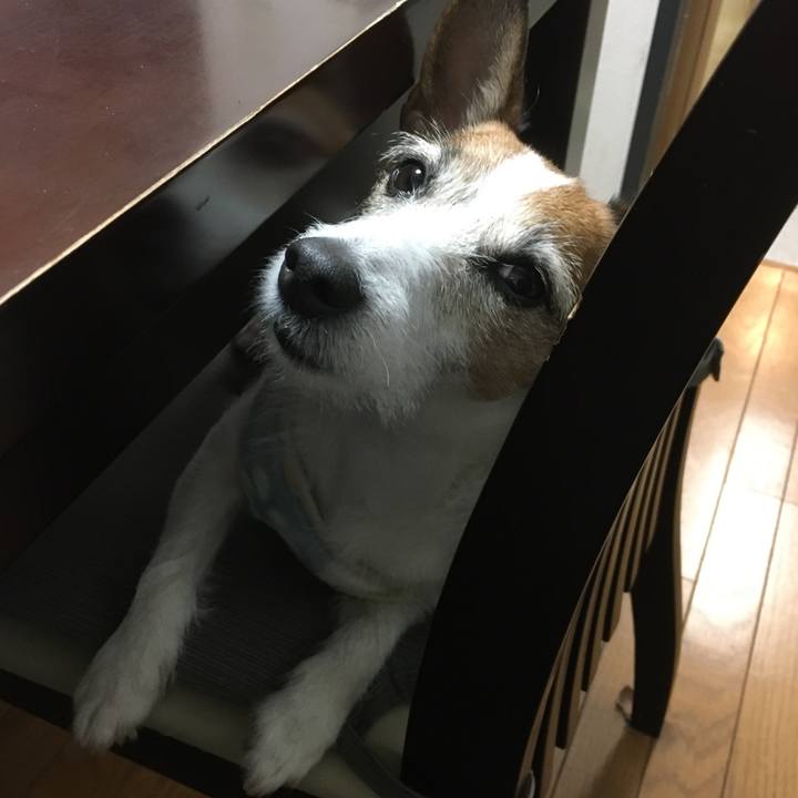 26b8eb16 6172 4429 a5f1 ed353857cbf6 1590885209672