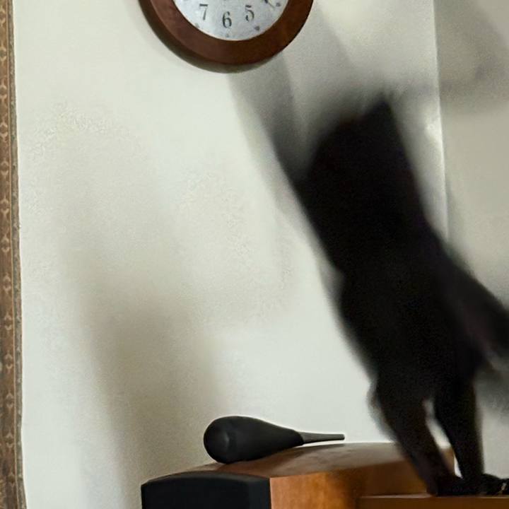 26b92d00 289c 474b a4e5 1a74e17c428f 1756981940450