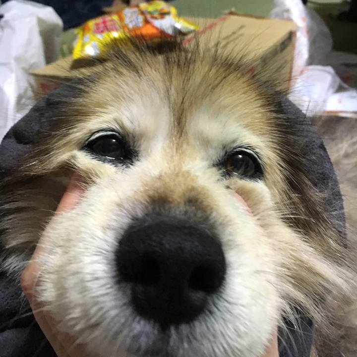 26b98ba8 a0fc 41ed 88e5 4fe5a542b451 1583429152768