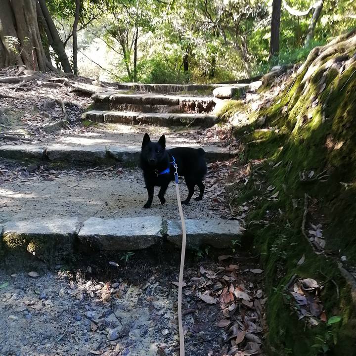 26b98e9e 1eef 4d92 9378 c8418d8307a3 1603586392483