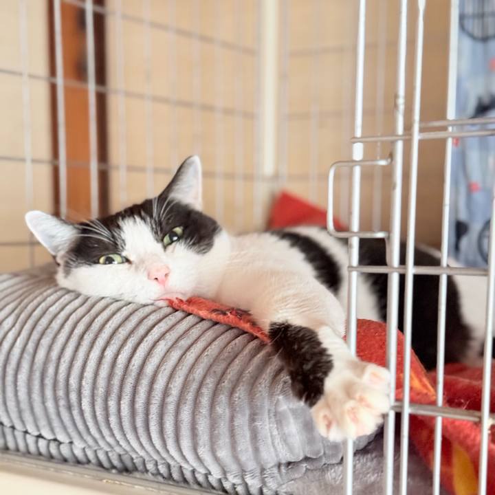 26b9c786 edde 4001 b9a7 6603cc36b815 1766888688922