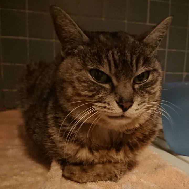 26b9dc1d 2dd2 460f bc1a 242aada9f0d3 1583747857827