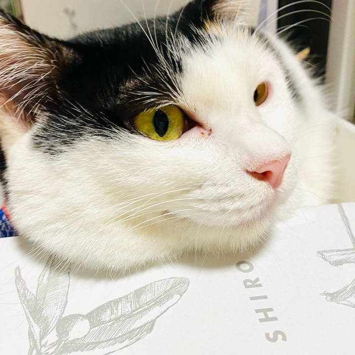 26b9e441 b80d 4e64 8541 848f08531c70 1696862952602