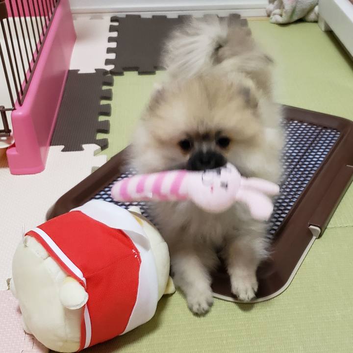 26b9f533 89c4 4cab adf3 57cc6e90b4de 1611460969923