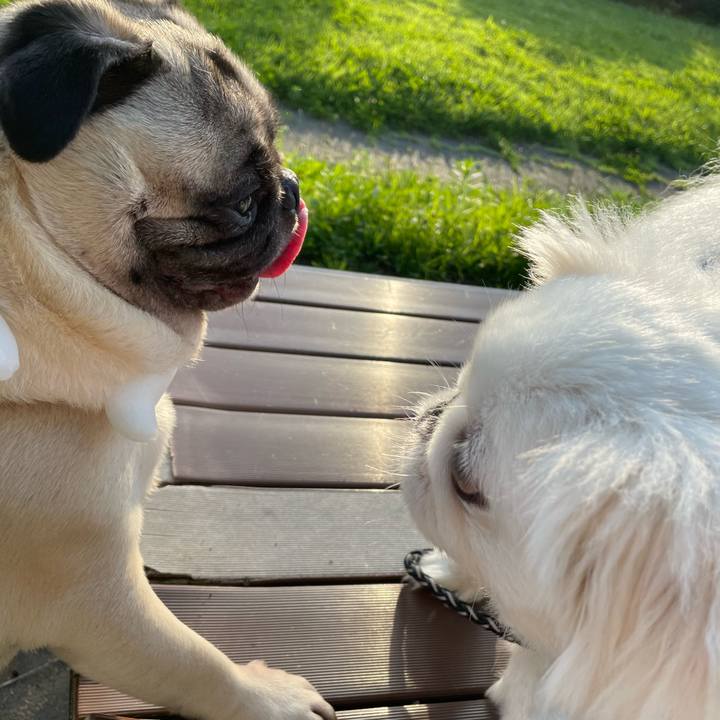 26ba00ae be92 40bd aa36 b12bb17d4487 1690196578261