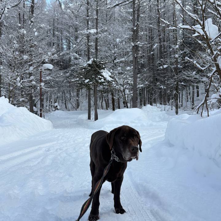 26ba2a04 3660 4e5b 8bda 229c2ea728d5 1770032346452