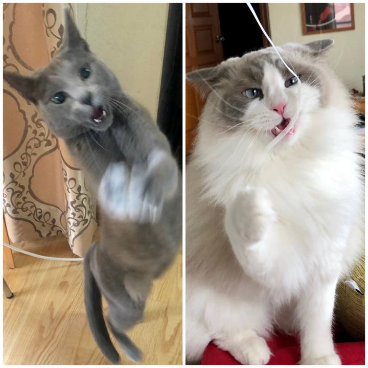 26ba3a2d 0f87 420e bde6 bdddba66fdba 1621559954068