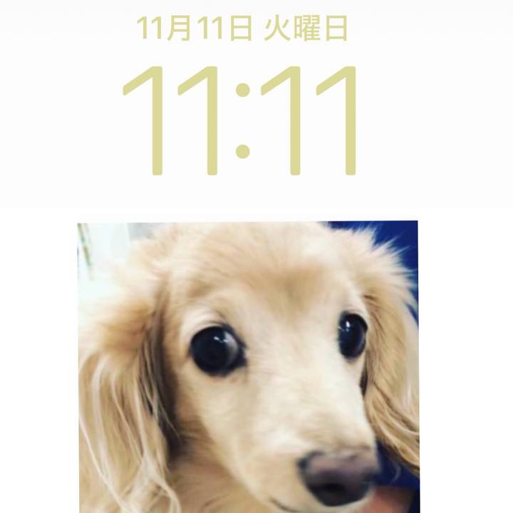 26ba5942 80d6 4164 9a6b 152dd1a606bb 1762828671221