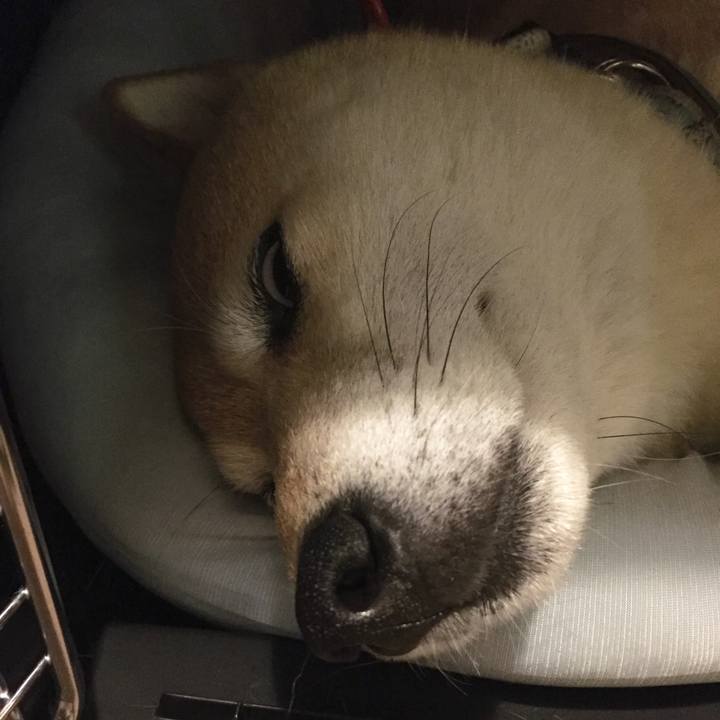 26ba7756 e9e0 4ba8 a374 c7b4a96fa2f8 1528117170236