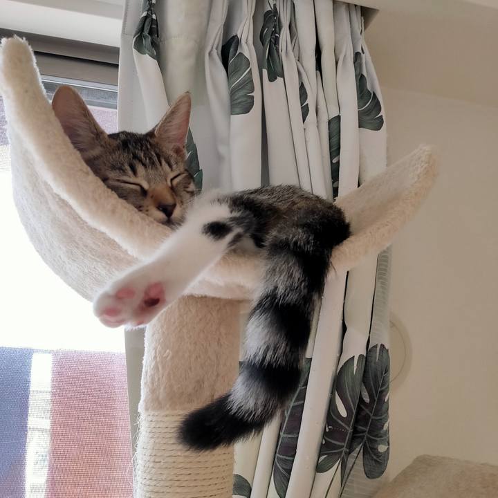 26ba7d7c cbd0 45a7 bc64 68c61add1e04 1628660087758