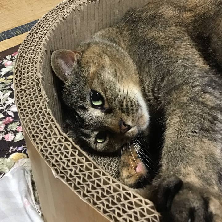 26ba7fc5 bfbf 434c b936 6399e003a091 1747646546649