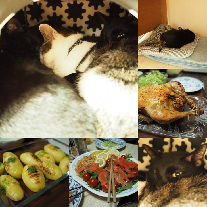 26ba9ac7 6460 4f67 ad40 38aff36f6e48 1545576676247