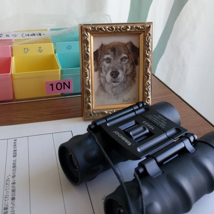 26baa29b 7d07 4f0a 85c2 af2cc92b9306 1554357389059